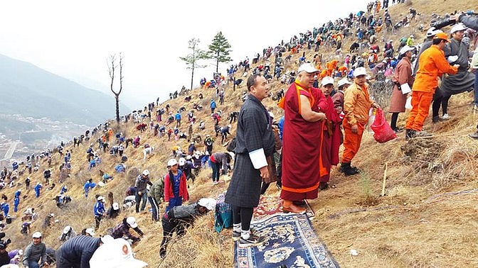 Bhutanese people planting saplings on a hillside, in Thimpu, Bhutan. (Photo: AP)