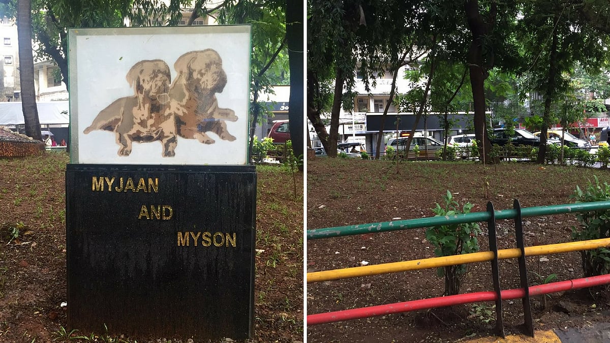 A before and after image of the private memorial of Salman Khan’s dogs in Bandra, Mumbai. (Photo: <b>The Quint</b>)