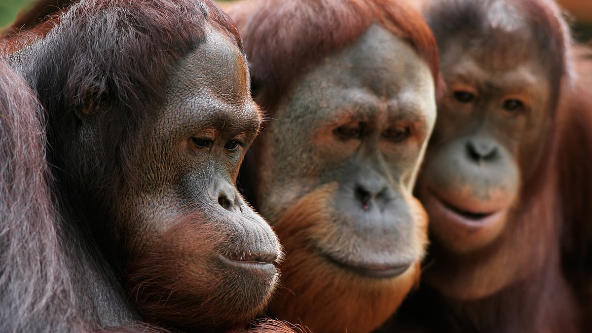 For representational purposes. (Photo: iStock)