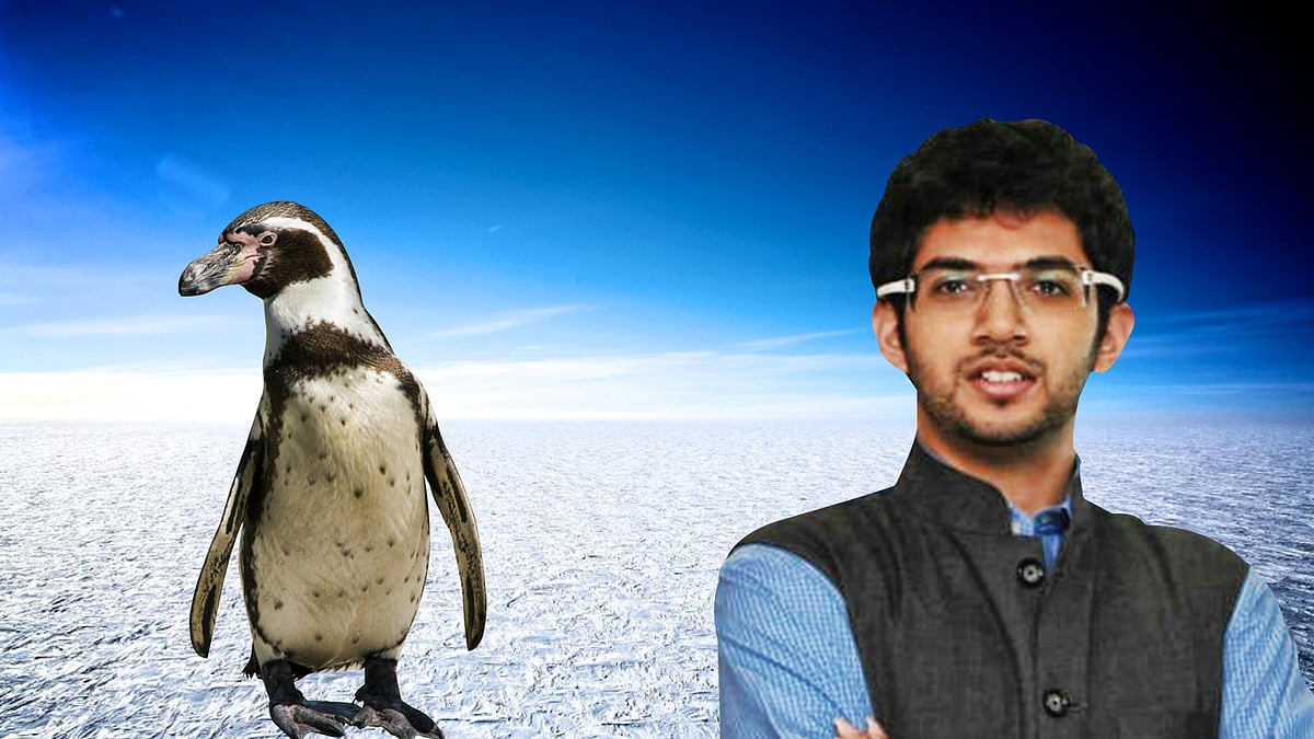 Death of a female penguin has raised questions on Aaditya Thackeray’s ambitious plan to revamp the Byculla zoo. (Photo: Lijumol Joseph/ <b>The Quint</b>)