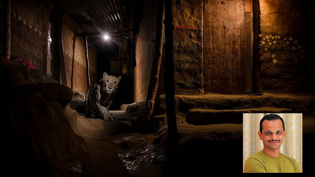 

The Alley Cat, the photograph that got Khanolkar the award. (Photo Courtesy: <a href="http://nayankhanolkar.com/project/urban-leopards/">Nayan Khanolkar</a>)