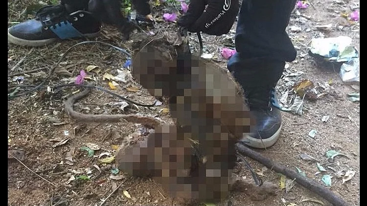 This comes just months after two medical students from Chennai were arrested for throwing a dog from a terrace. (Photo Courtesy: The News Minute)