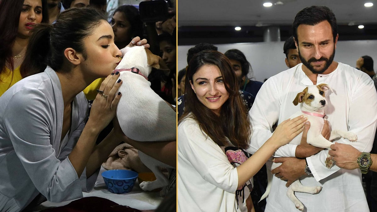 Alia Bhatt, Soha Ali Khan and Saif Ali Khan at an adoption camp. (Photo: Yogen Shah)