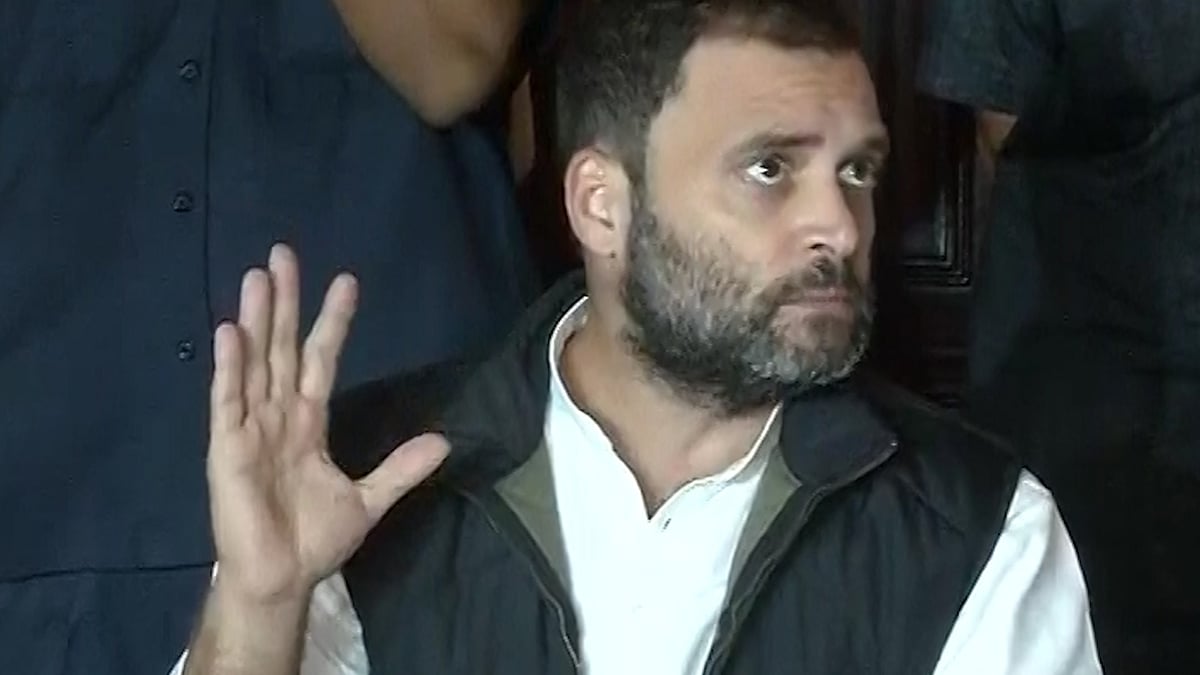 Congress Vice President Rahul Gandhi. (Photo: ANI)