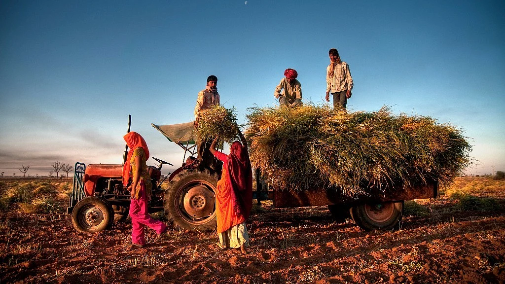 As the world’s population grows, being able to feed everyone is a growing concern. (Photo: iStock)