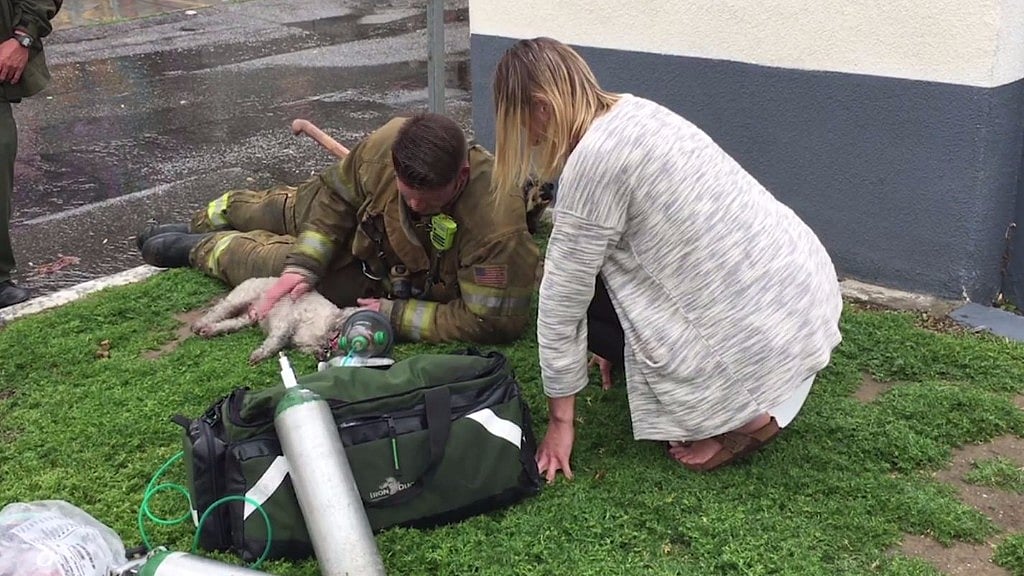 (Photo: AP/ Jukin Media)