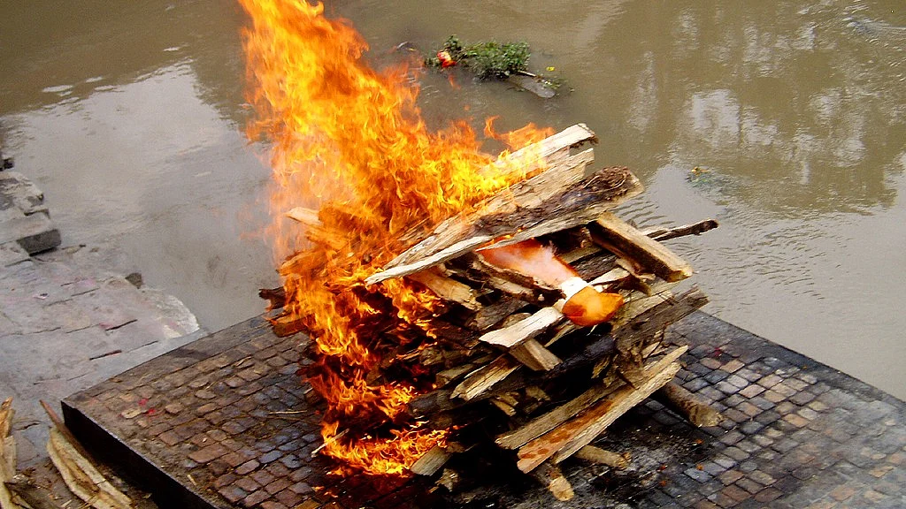 Image used for representational purposes. (Photo Courtesy: Wikimedia Commons)