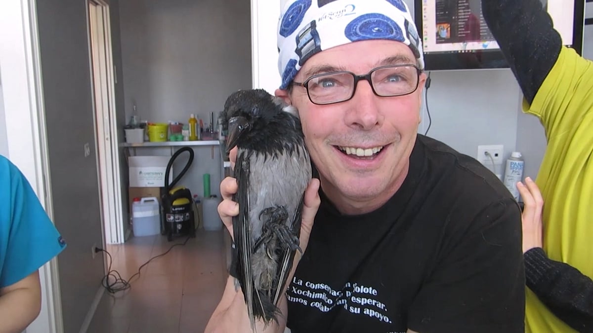 Six different beaks were then printed, the best of which was chosen by Dr Lorenzo Crosta. (Photo: AP Screengrab)