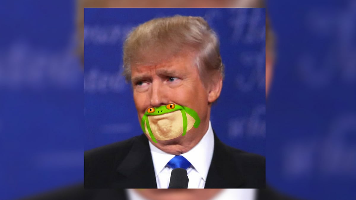 We ‘hop’ you like the memes poking fun at Donald Trump. (Photo Courtesy: <a href="https://twitter.com/sirmitchell/status/859866519840444416/photo/1?ref_src=twsrc%5Etfw&amp;ref_url=https%3A%2F%2Fwww.indy100.com%2Farticle%2Fdonald-trump-chin-looks-like-frog-trolled-twitter-sirmitchell-7719156">twitter.com</a>/sirmitchell)