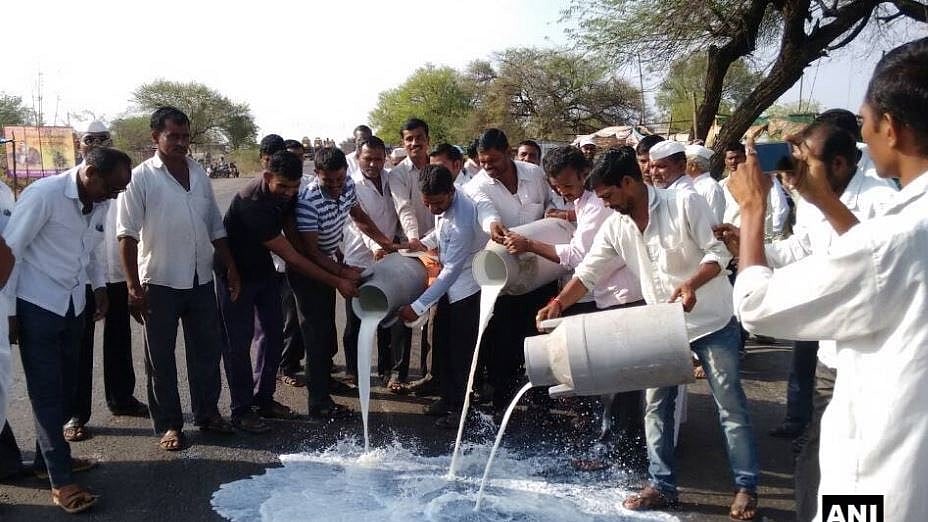 Farmers protest in Maharashtra. (Photo courtesy: Twitter/ANI)