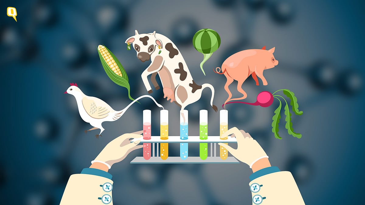 The Maharashtra Police is all set to procure instant beef detection kits for meat seizures in the state. Image used for representational purpose. (Photo: <b>The Quint</b>)