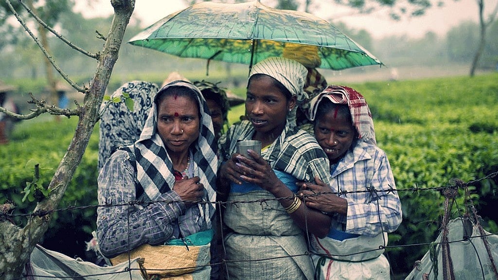 The tea tribes in Assam.&nbsp;