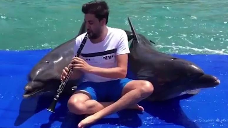 Dolphin sings along to a clarinet at Zimbabwe National Park. &nbsp;