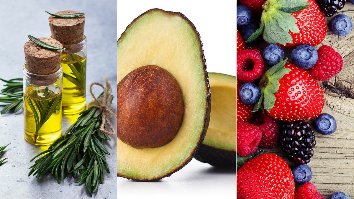 Rosemary (left), avocado (centre) and berries (right) are all memory boosting foods.&nbsp;