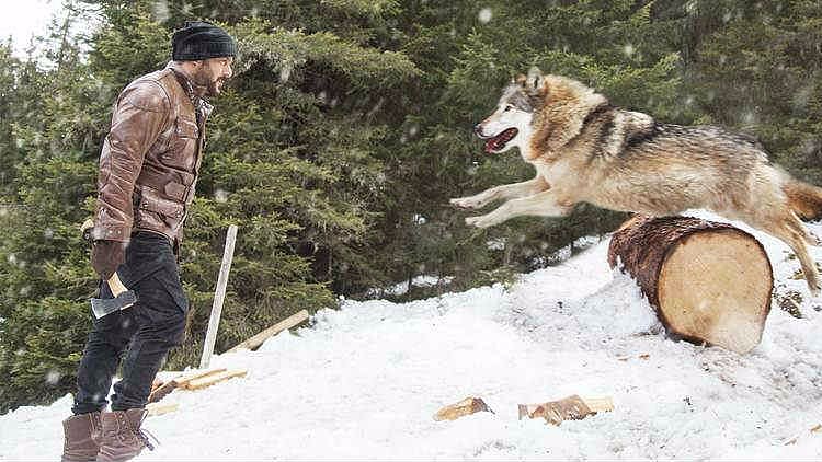 Salman Khan in <i>Tiger Zinda Hai</i>. 