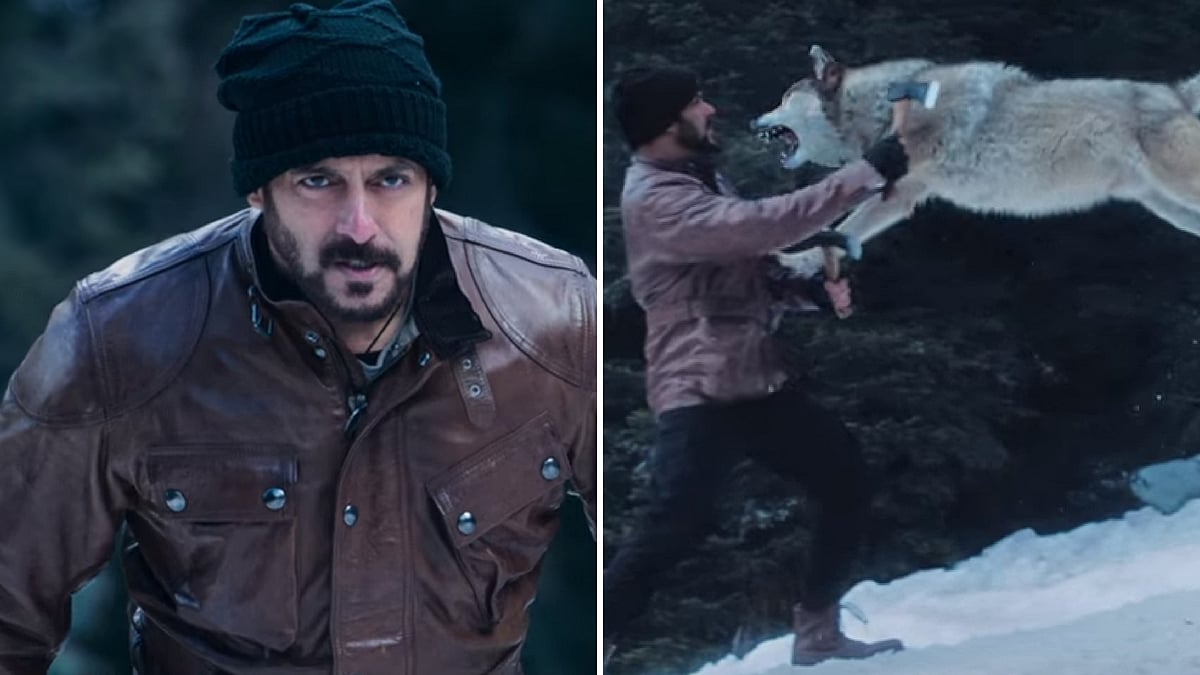 Action packed end of the year with Salman’s<i> Tiger Zinda Hai.</i>