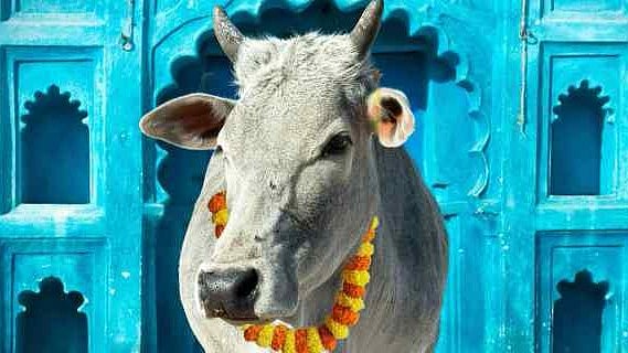 <div class="paragraphs"><p>Assam Assembly passes the Cow Protection Bill.</p></div>