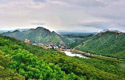 Green spaces boost brain development in kids: Study.