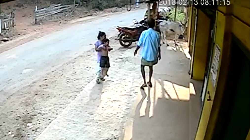 When the cow tried to gore her as well, she screamed till a family member stepped out and shooed the animal away.