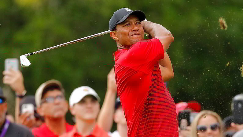 Tiger Woods in action.