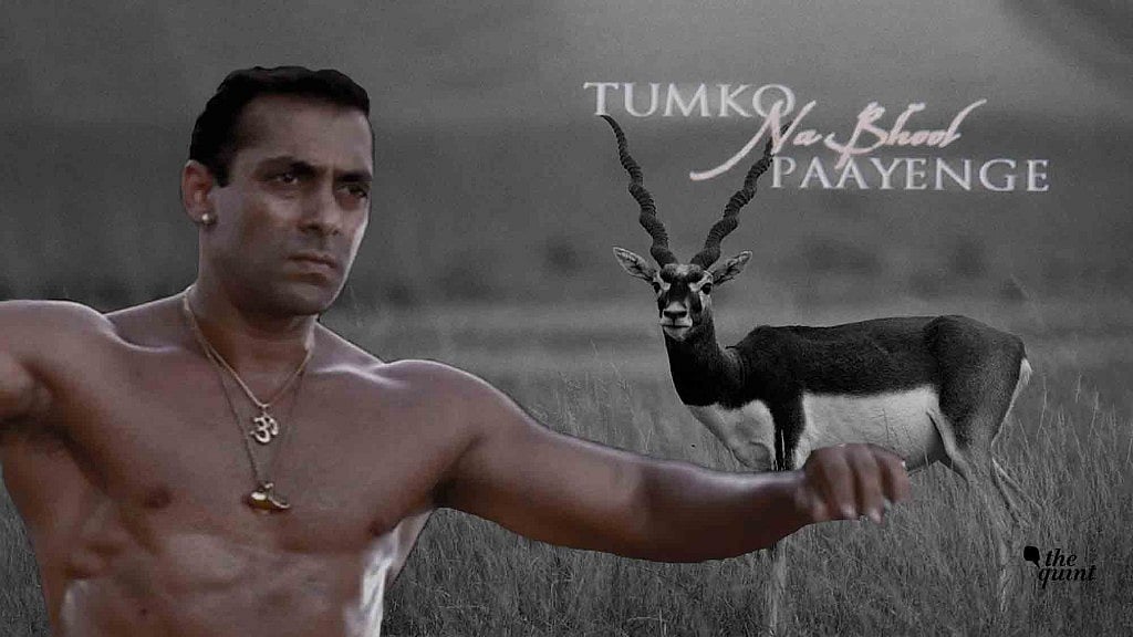 Salman Khan’s buck stopped at Jodhpur.