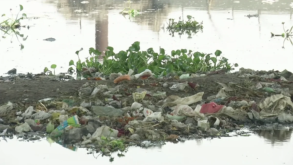 India hosts World Environment Day.