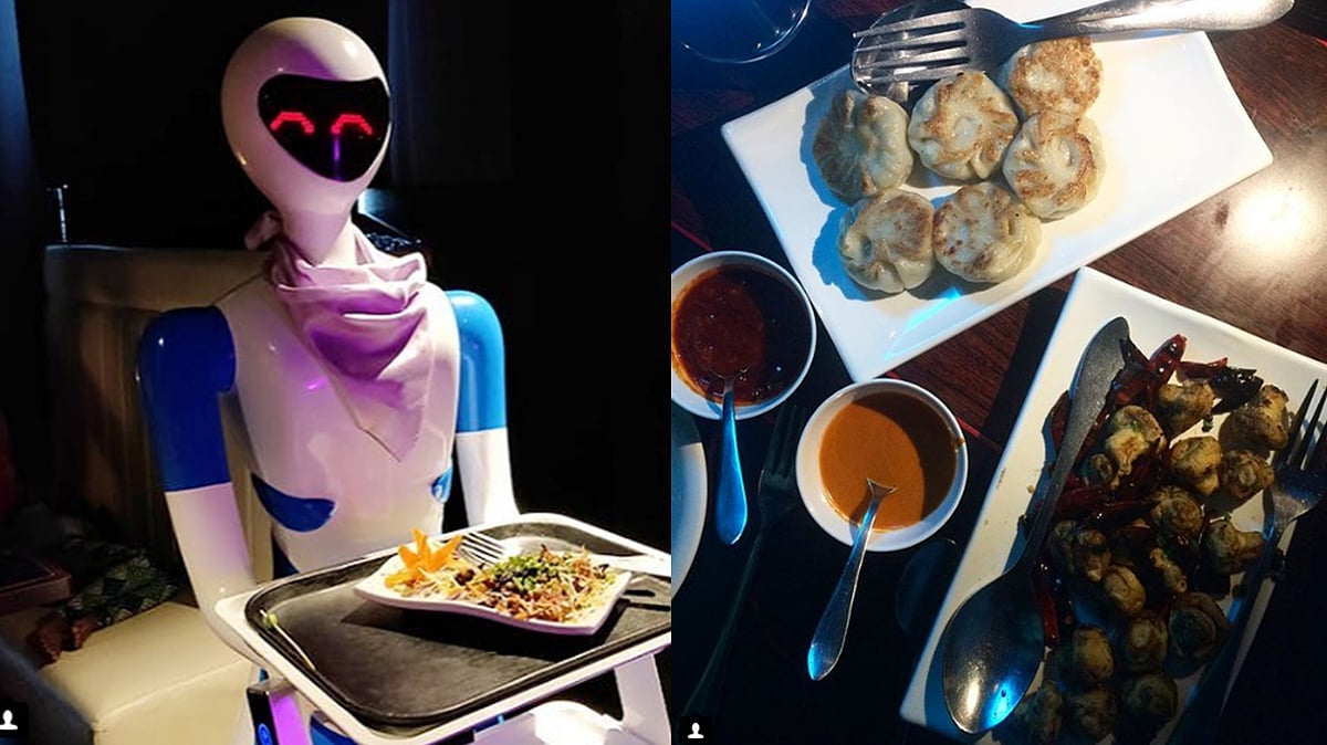 Robots serving food in the restaurant.