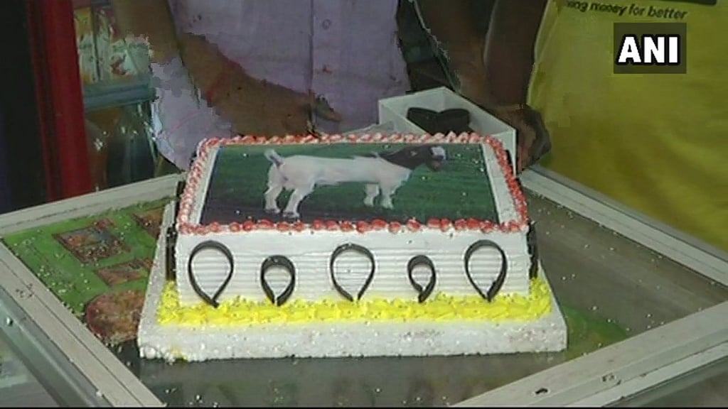 People in Lucknow are preparing to celebrate Eid-al Adha by cutting cakes with a goat image.