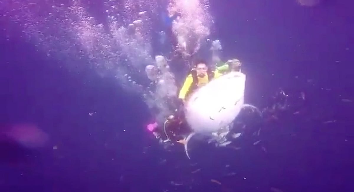 After outrage from conservationists, police arrested the man seen riding the whale shark.