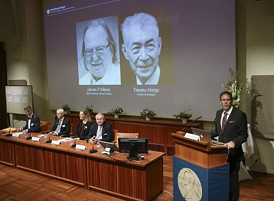 STOCKHOLM, Oct. 1, 2018 (Xinhua) -- Members of the Nobel Committee for Physiology or Medicine announce two scientists James P. Allison (L, screen) of U.S. and Tasuku Honjo (R, screen) of Japan share 2018 Nobel Prize in Physiology or Medicine during a press conference at the Karolinska Institute in Stockholm, Sweden, on Oct. 1, 2018. The Nobel assembly at the Karolinska Institute has decided to award the 2018 physiology or medicine prize jointly to James P. Allison and Tasuku Honjo for their disc
