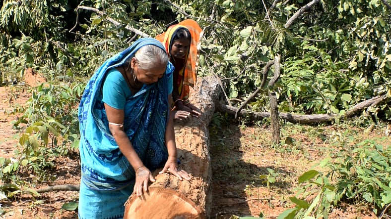Spearheaded by the women folks of the village, the movement forced the Odisha government to order for shifting of the project respecting the voice of people.