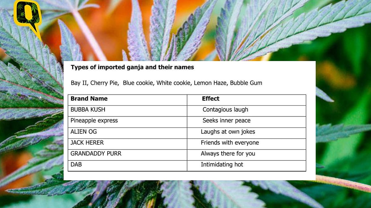 This Delhi Police press release is giving the internet “contagious laughter.”