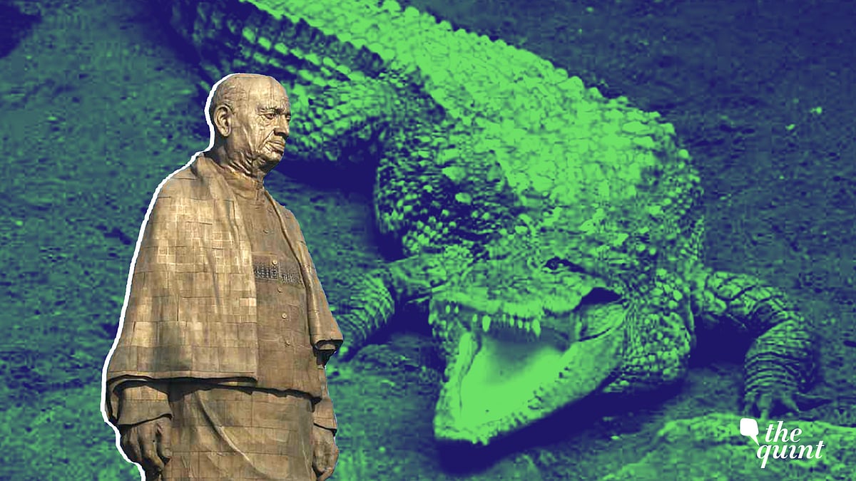 Image used for representational purposes.