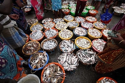 Fishermen. (File Photo: IANS)