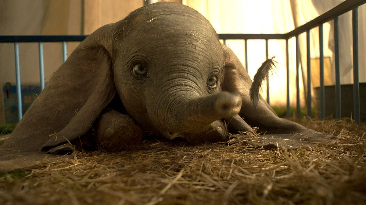 A still from <i>Dumbo</i>.