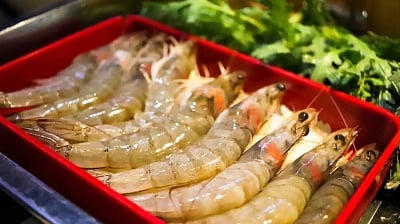 Shrimps.
