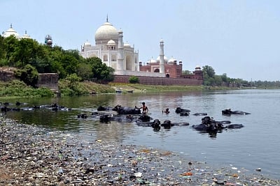 Yamuna river. (File Photo: IANS)
