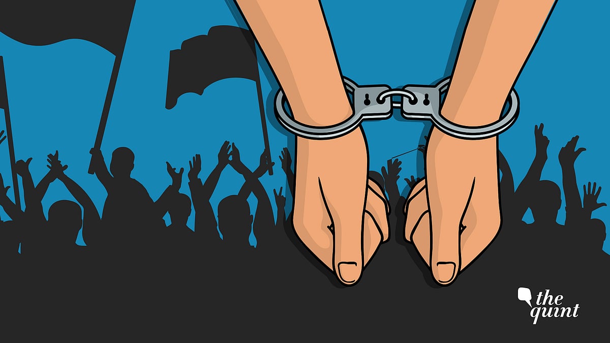 They chanted slogans, joined in protest songs and clapped hard when others took centre stage. Before they withdrew from public gaze again, The Quint caught up with them to learn about their stories.