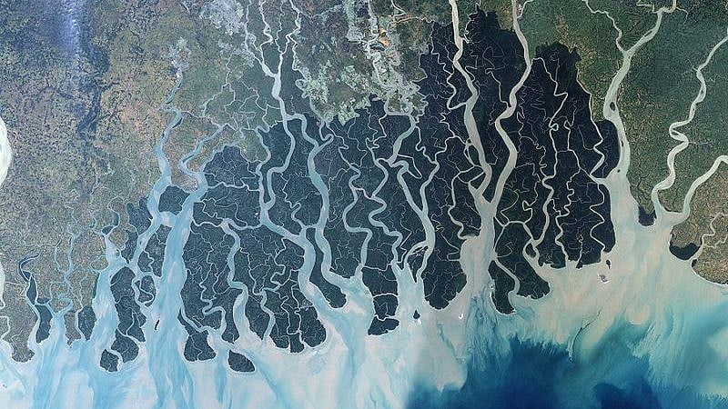 (Cropped image). Landsat 7 image of Sundarbans, released by NASA Earth Observatory. Image used for representational purposes.