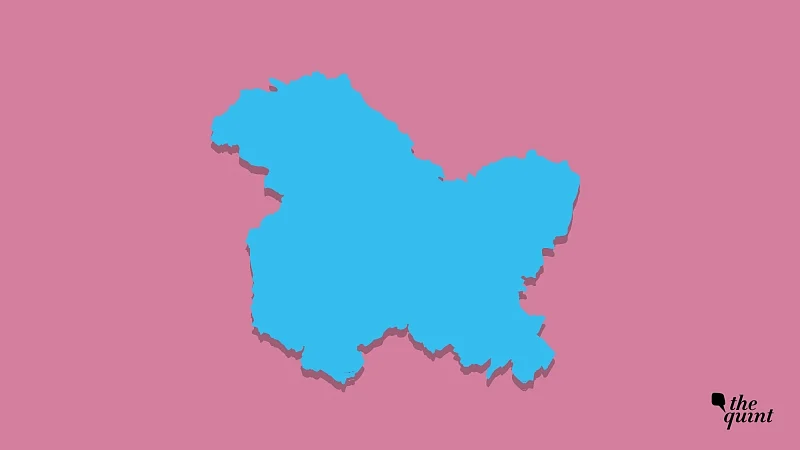 Janardan Dwivedi and Deepender Hooda did not toe the party line on Article 370.