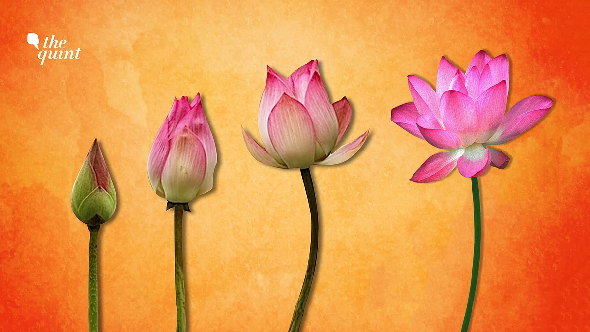 Image used for representational purposes.
