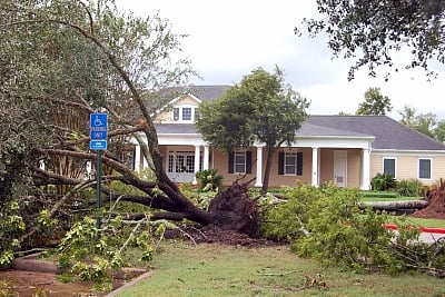 HOUSTON(U.S.), Aug. 26, 2017 (Xinhua) -- Photo taken on Aug. 26, 2017 shows the trees destroyed by Hurricane Harvey in Houston, the United States. At least one person is dead and several others injured after Hurricane Harvey made landfall on the southern coast of the U.S. state of Texas Friday night. (Xinhua/Song Qiong/IANS)