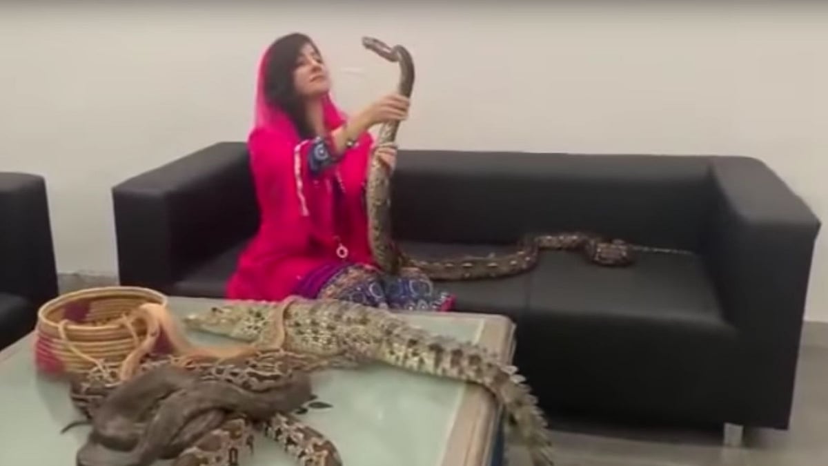 Rabi Pirzada uploaded a video of herself where she threatened PM Modi with snakes, pythons and an alligator that she was keeping at her beauty salon.&nbsp;