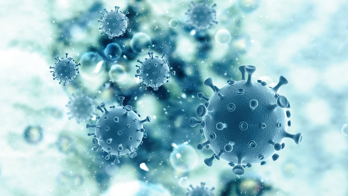 Protein that promotes cancer, suppresses anti-tumour immunity, found by researchers.