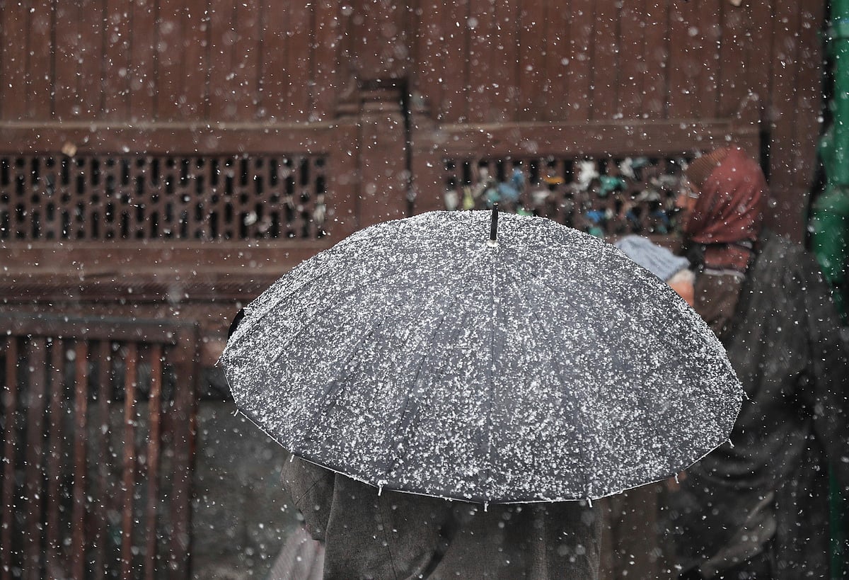 Ode to Umbrella: Functional to Fantastical
