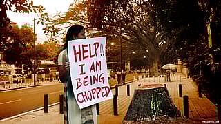 Image used for representation only.