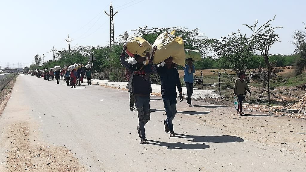 These Banjaras, who were coming from Fatehgarh block of Jaisalmer where they had gone to cut jeera (cumin), say they found no government arrangements for transport due to which they hired private buses.