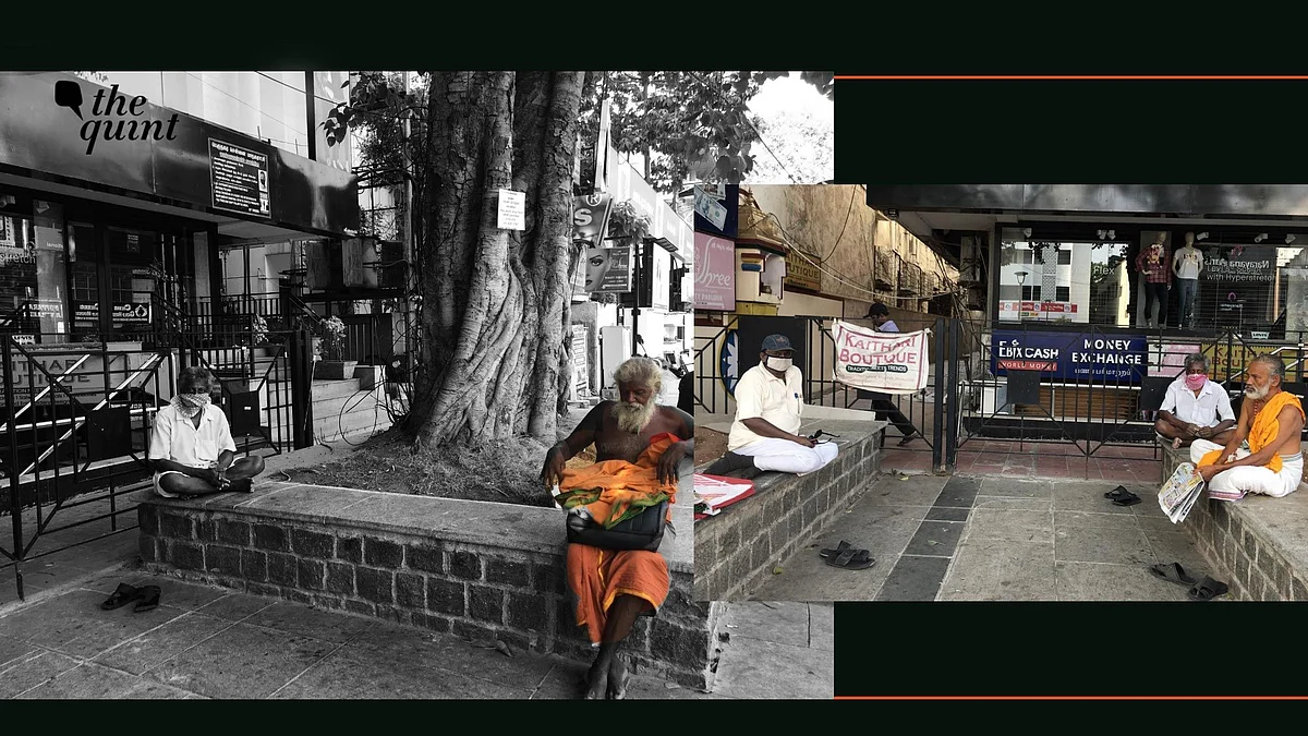 It has been more than two months since they have been taking shelter under a tree.