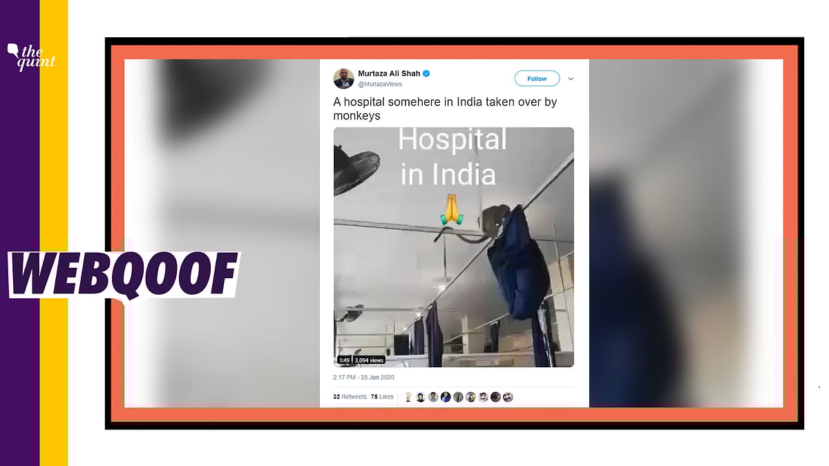 The video is of 2019 from South Africa.