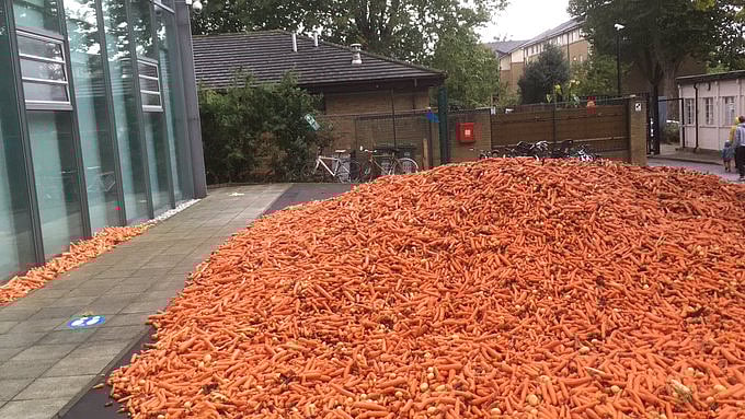 Twitter users reacted with carrot puns.